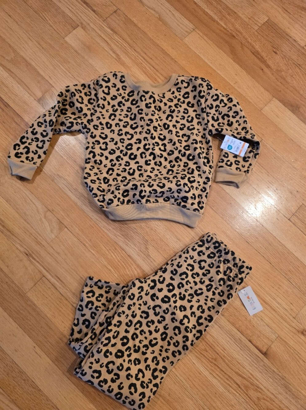 Garanimals Animal Print Sweatshirt And Pants Set